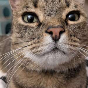 Fundraising Page: Sky Mast